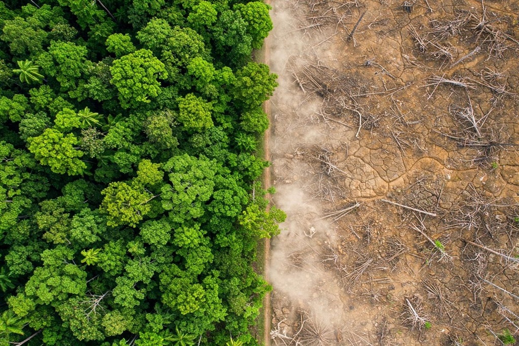 Kritik Fasilitas Umum Rusak, Lupa Fasilitas Alam?